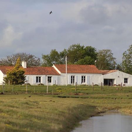 Maison De Charme Au Coeur Des Marais Pour 6 Pers. Bouin  Exterior photo