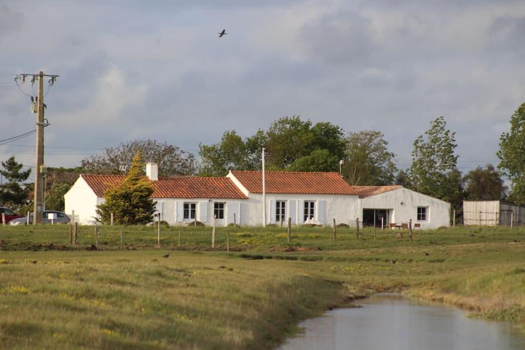 Maison De Charme Au Coeur Des Marais Pour 6 Pers. Bouin  Exterior photo